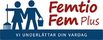 FemtioFemPlus logo